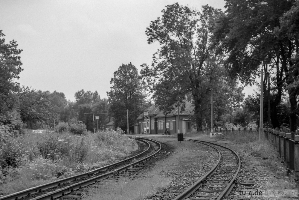neg0288.jpg