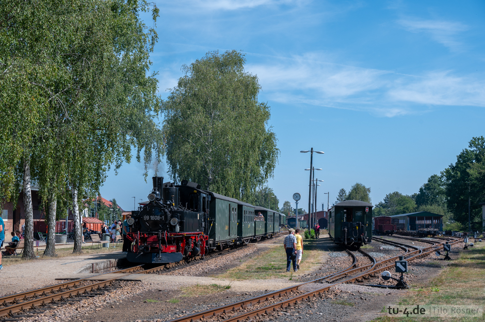 NZ6_4547.jpg