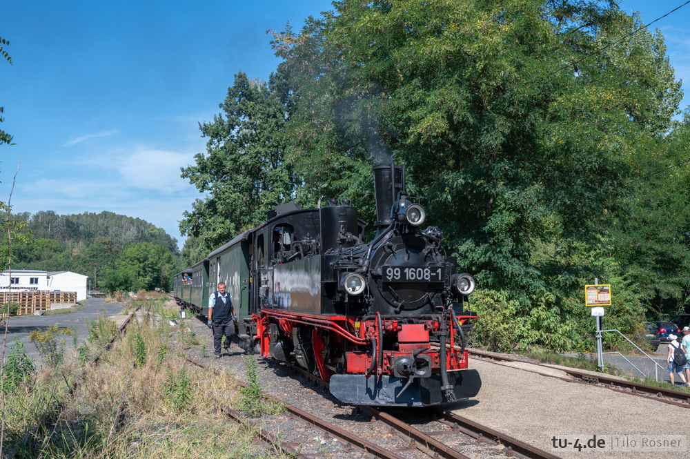 NZ6_4562.jpg