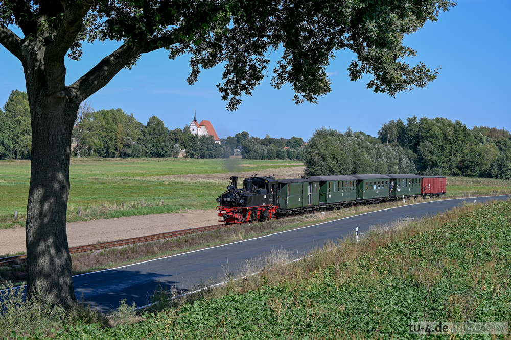 NZ6_4600-2.jpg